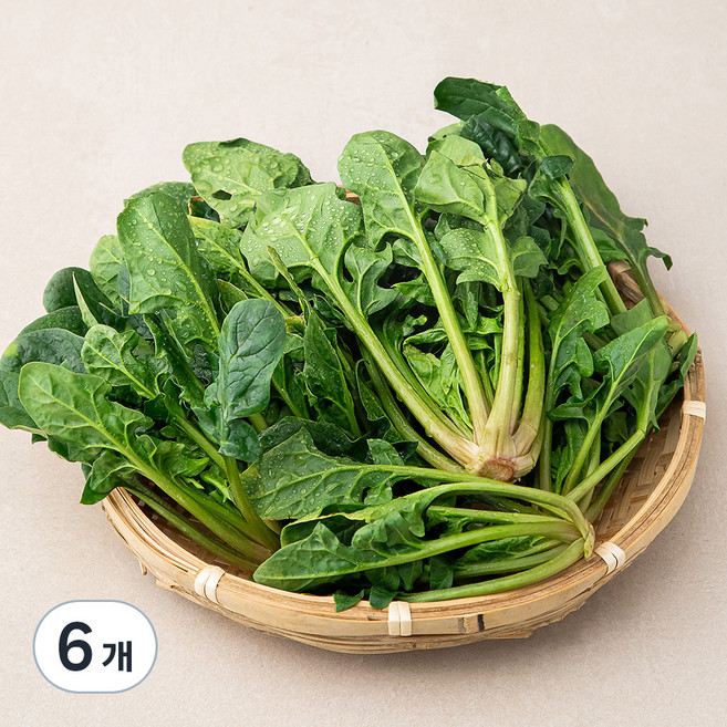 국내산 시금치, 300g, 6개