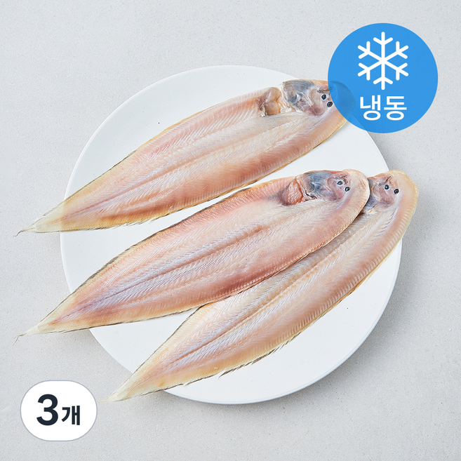 영광법성포 반건조 박대 3미 (냉동), 3개, 450g