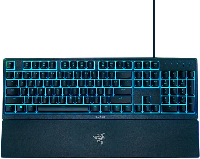 RAZER 雷蛇 雨林狼蛛V3X 電競 Wired 鍵盤 黑色 RZ03-04471600-R3T1 薄膜式 RGB 燈光效果 矮軸 全尺寸