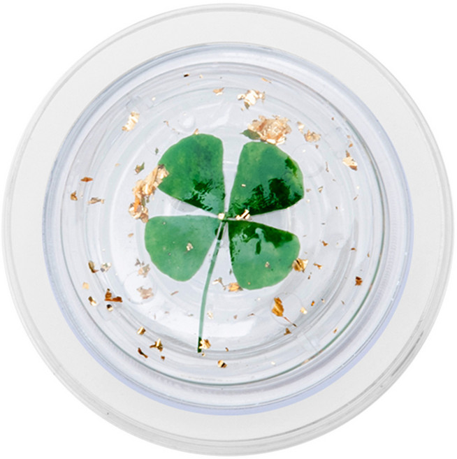 구스페리 디자인 맥세이프 그립 스마트톡, 14네잎클로버, 1개