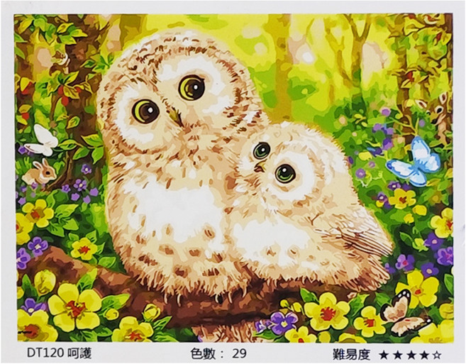 ArtLife 藝術生活 數字油畫 DIY DT120 50 x 40cm, 呵護, 1組
