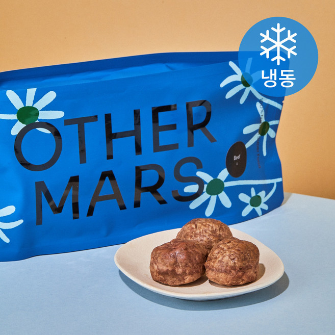 아더마스 강아지 플래닛 화식사료 (냉동), 360g, 1개, 비프