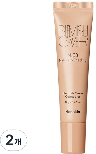 한스킨 블레미쉬 커버 튜브 컨실러 컬러에디션 12g, 2개, N 23 내추럴