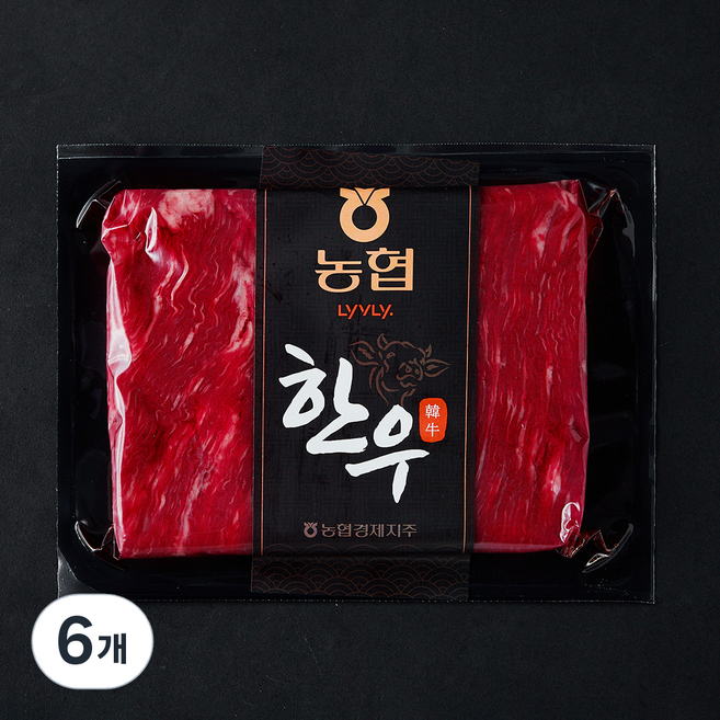 농협 한우 양지 미절단 1등급 국거리용 (냉장), 300g, 6개
