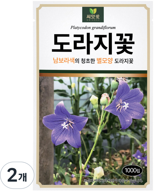 다농 씨앗애 도라지꽃 씨앗 1000p, 2개