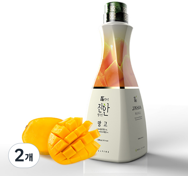 웰파인 더진한 망고 농축액, 1.5kg, 2개