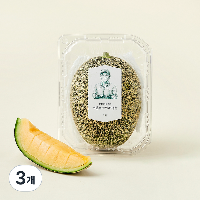 강정열 농부의 저탄소 하미과 멜론, 900g, 3개