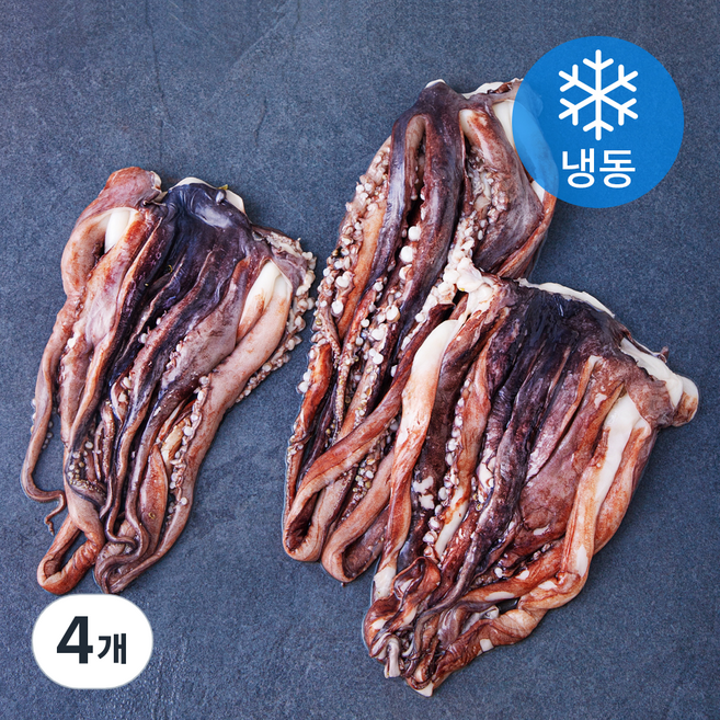 고등어청년 대왕 오징어 다리 (냉동), 4개, 1kg