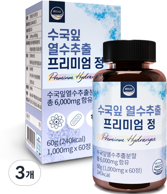 웰리즈 수국잎 열수추출 프리미엄 정 60g, 60정, 3개