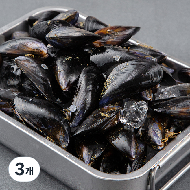 바다자리 국산 생물 홍합, 3kg, 3개