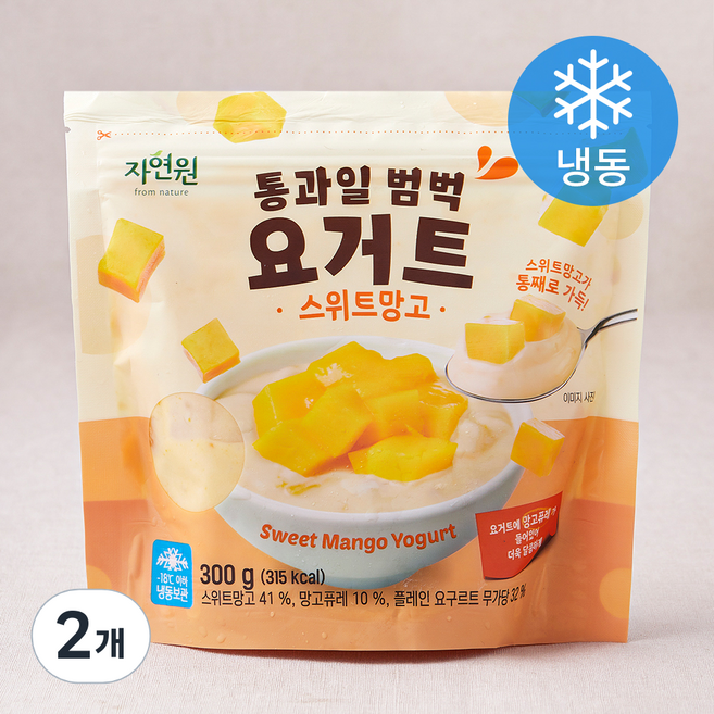 자연원 통과일 범벅 요거트 스위트망고 (냉동), 300g, 1개입, 2개