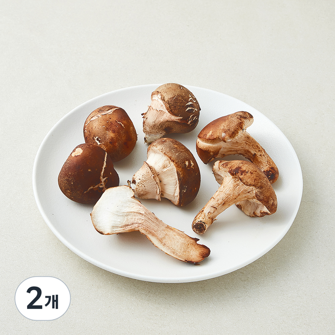 못생겨도 맛있는 참송이버섯, 2개, 250g
