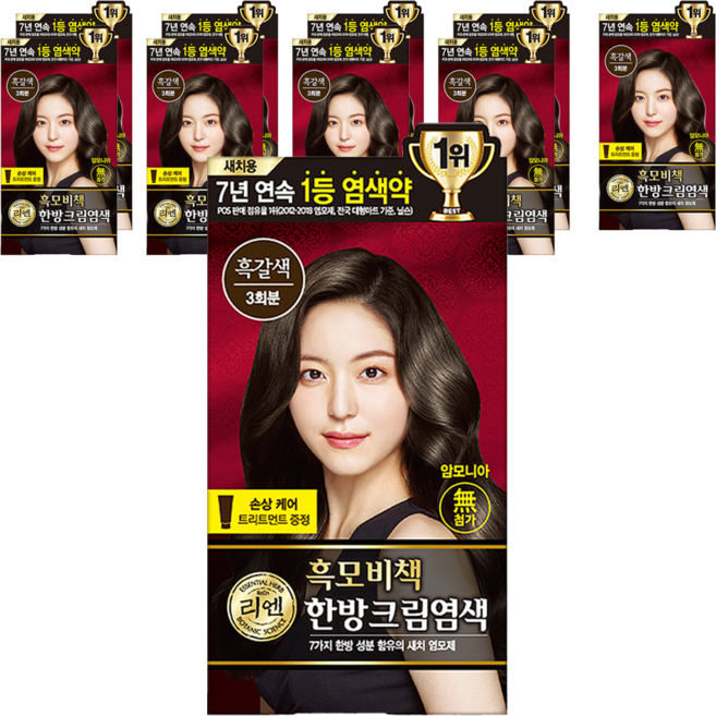 리엔 흑모비책 새치염색크림 한방염모제, 흑갈색, 10개