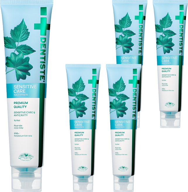 덴티스테 뉴 센서티브케어 치약, 200g, 5개