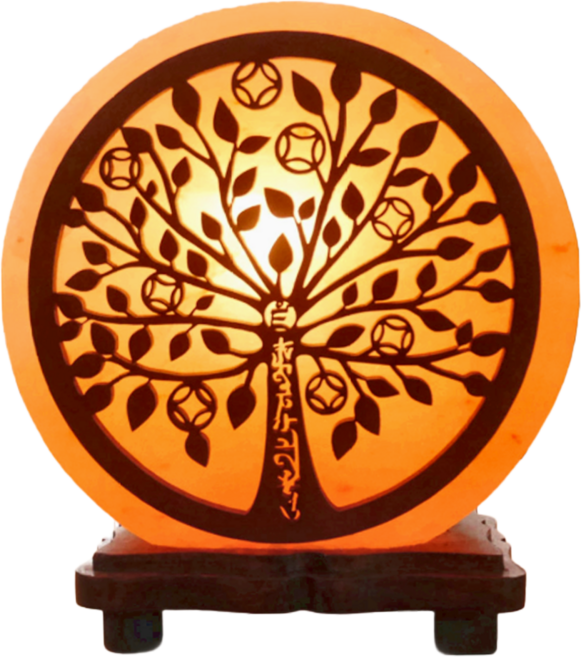 命運好好玩 八方生財樹鹽燈 古銅錢葉脈 自然玫瑰鹽礦 客廳店面擺放, 八方生財樹