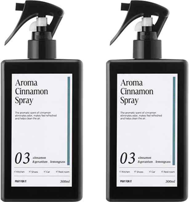 프레이포잇 아로마 시나몬 스프레이 탈취제 본품, 300ml, 2개