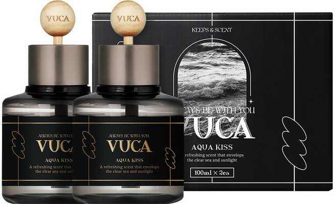 뷰카 센트 클래식 차량용 디퓨저 100ml, 아쿠아키스, 2개