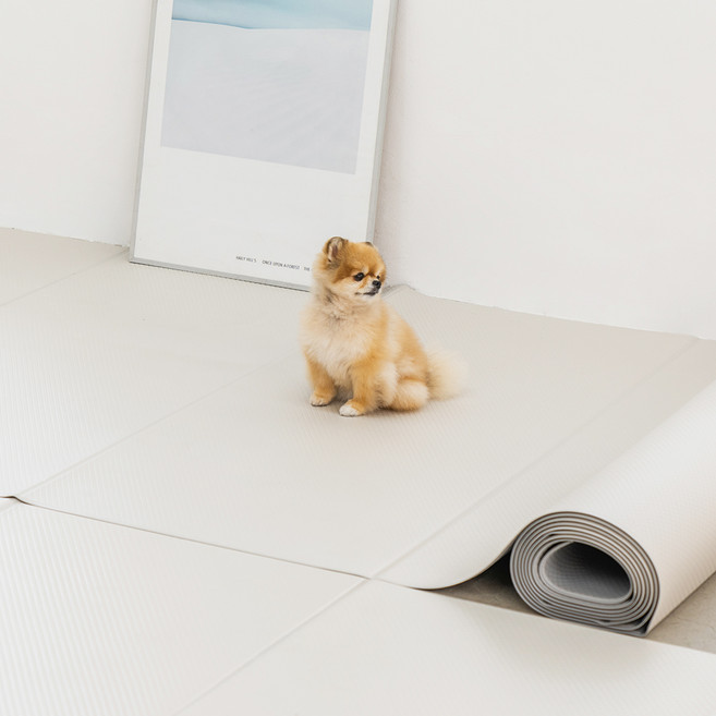 디팡 강아지 고양이 미끄럼방지매트, 젤리라이트그레이, 1개