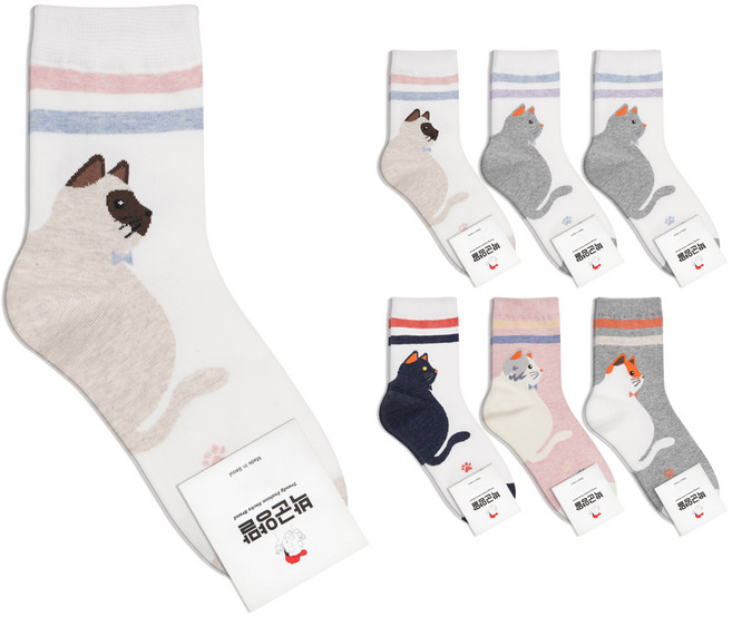 박군 여성용 빅캣 7족 양말세트