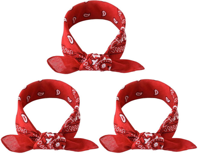 생활의지혜 등산 캠핑 페이즐리 반다나 손수건 3p 세트