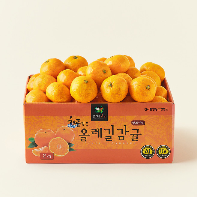 올레길 AI 당도선별 타이벡 12brix 감귤 로열과, 2kg, 1개