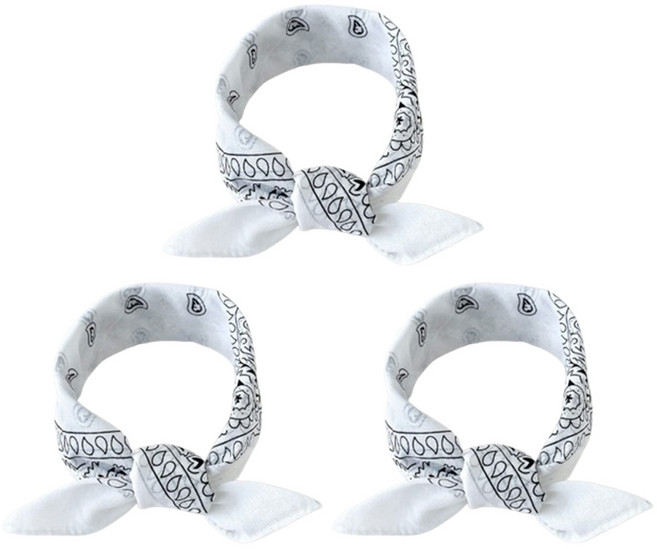 생활의지혜 등산 캠핑 페이즐리 반다나 손수건 3p 세트