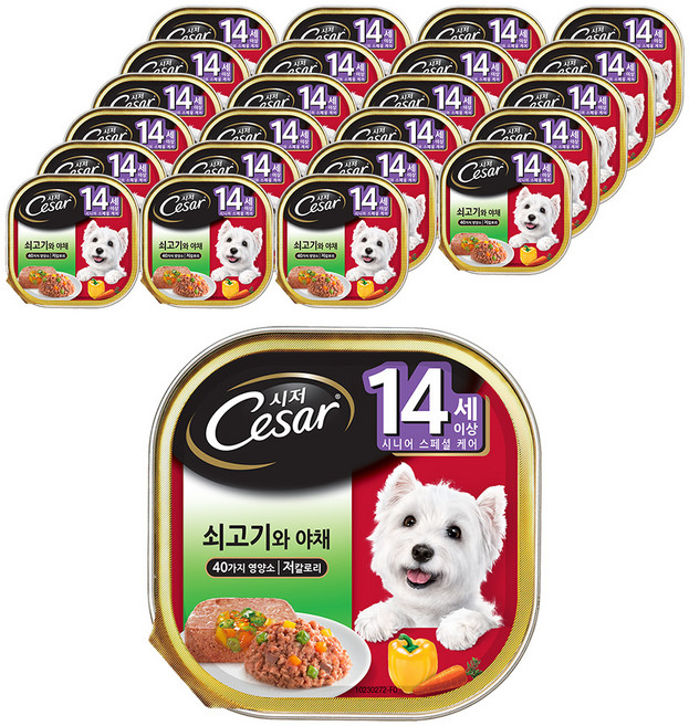시저 14세 이상 시니어 강아지 주식캔, 소+채소, 100g, 24개