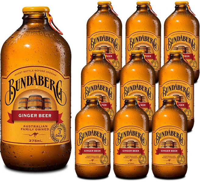 분다버그 진저비어, 375ml, 10개 - 쿠팡