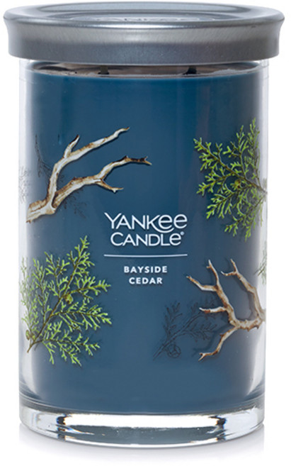 YANKee CANDLe 經典隨行杯 L, 貝賽德雪松, 567g, 1個