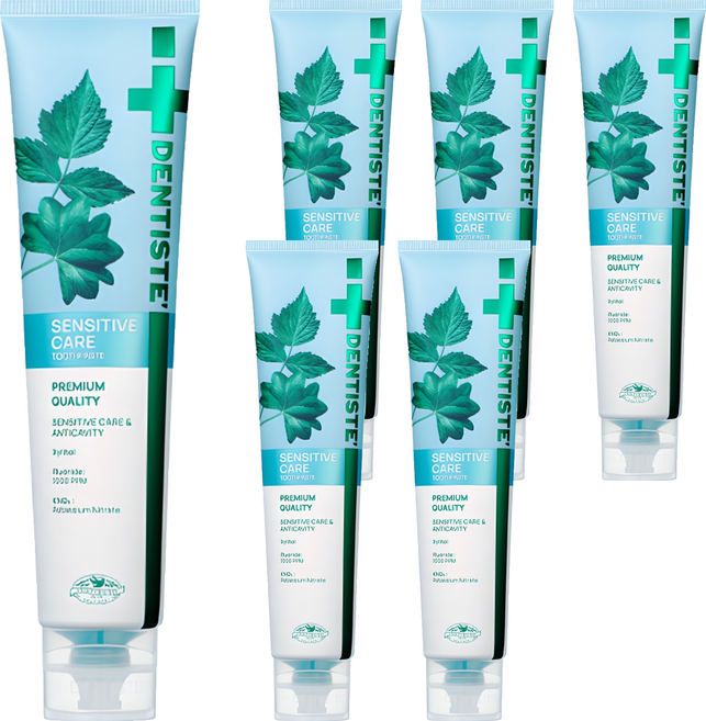 덴티스테 뉴 센서티브케어 치약, 200g, 6개