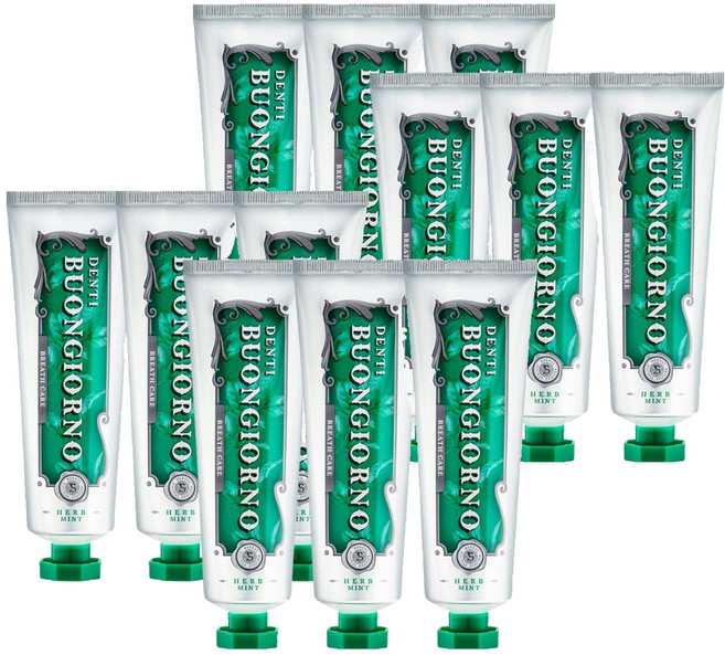 덴티본조르노 민트향 구취케어 치약, 100g, 12개