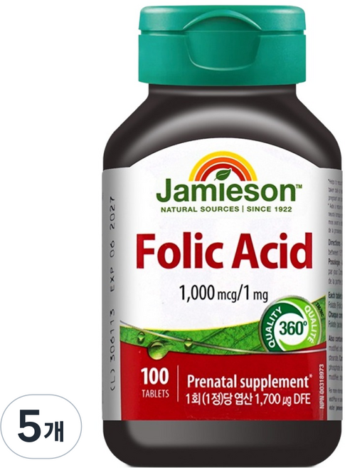 자미에슨 엽산 25g, 100정, 5개