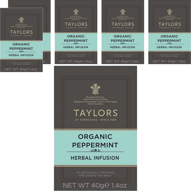 TAYLORS 泰勒茶 舒爽薄荷茶, 2g, 20包, 6盒