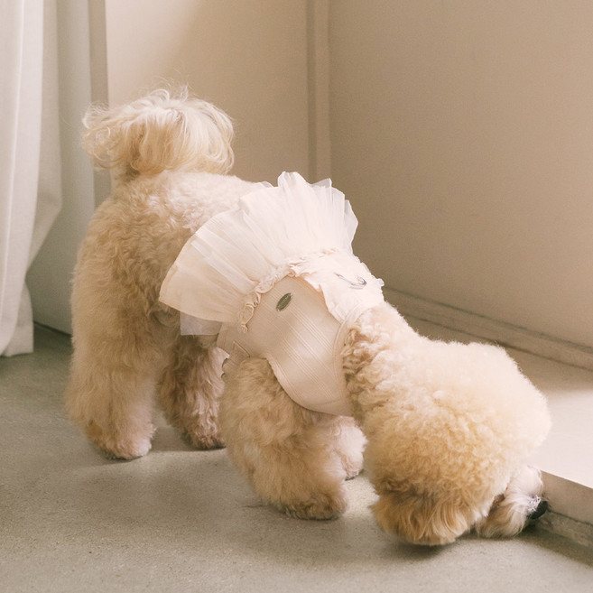 펫츠랜드 강아지 슈슈 하네스, 밀크베이지, 1개