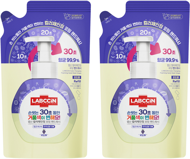랩신 컬러체인징 포밍 핸드워시 포도향 리필, 450ml, 2개