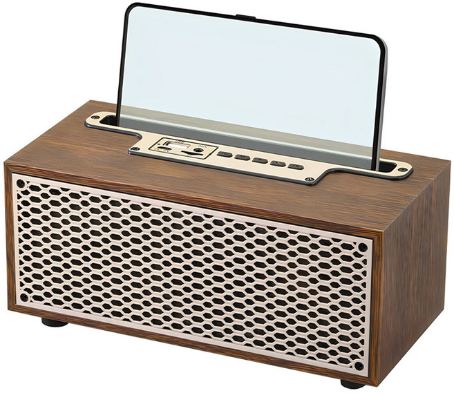 엑토 앤틱 레트로 우드 캠핑 블루투스 스피커, BTS-52, 혼합색상