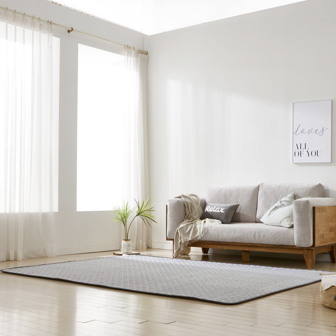 더안 EMF 탄소매트 전기요 JJ-2022, 200 x 300cm