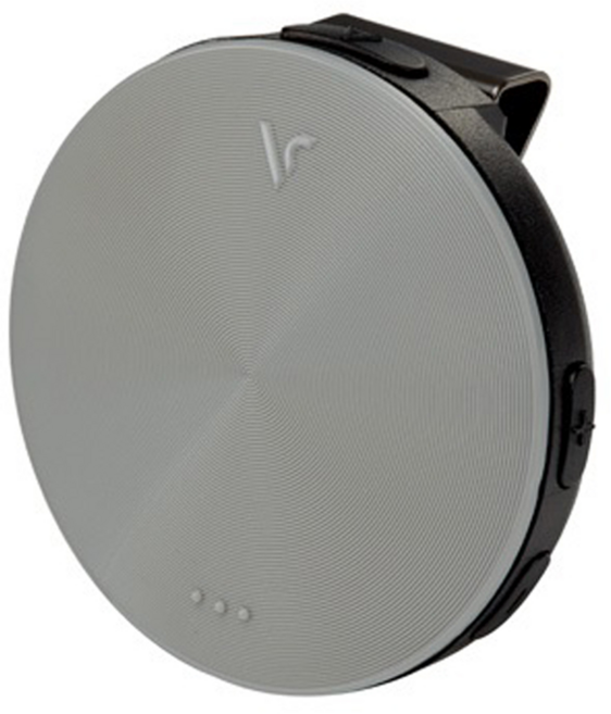 보이스캐디 음성형 골프거리측정기, VC4, 그레이