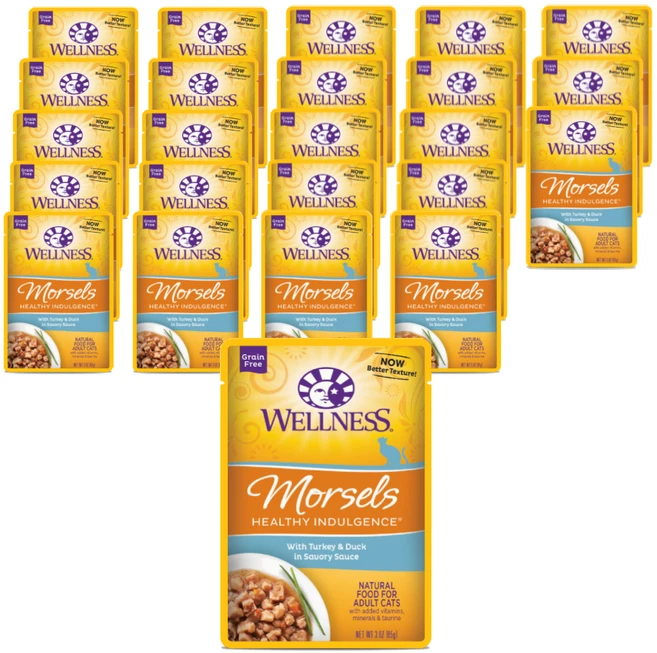 웰니스 어덜트 고양이 헬시 인덜전스 머셀 습식사료 파우치, 24개, 85g, 오리 + 칠면조 - 쿠팡