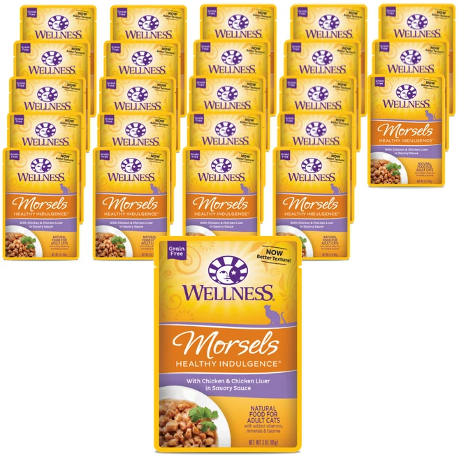 웰니스 어덜트 고양이 헬시 인덜전스 머셀 습식사료 파우치, 24개, 85g, 닭+닭간 - 쿠팡