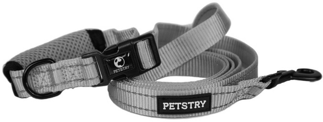 펫스츄리 강아지 핸즈프리 베이직 리드줄, GRAY, 1개