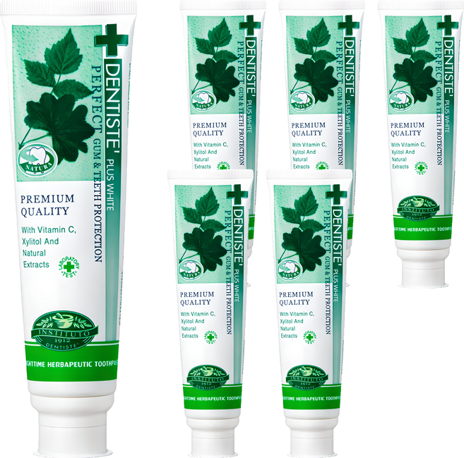 덴티스테 플러스 화이트 치약, 160g, 6개