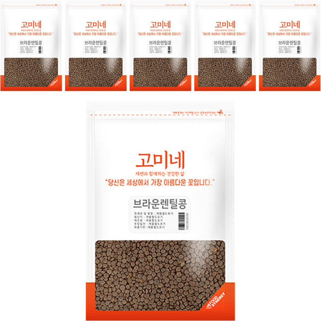 고미네 브라운 렌틸콩, 1kg, 6개