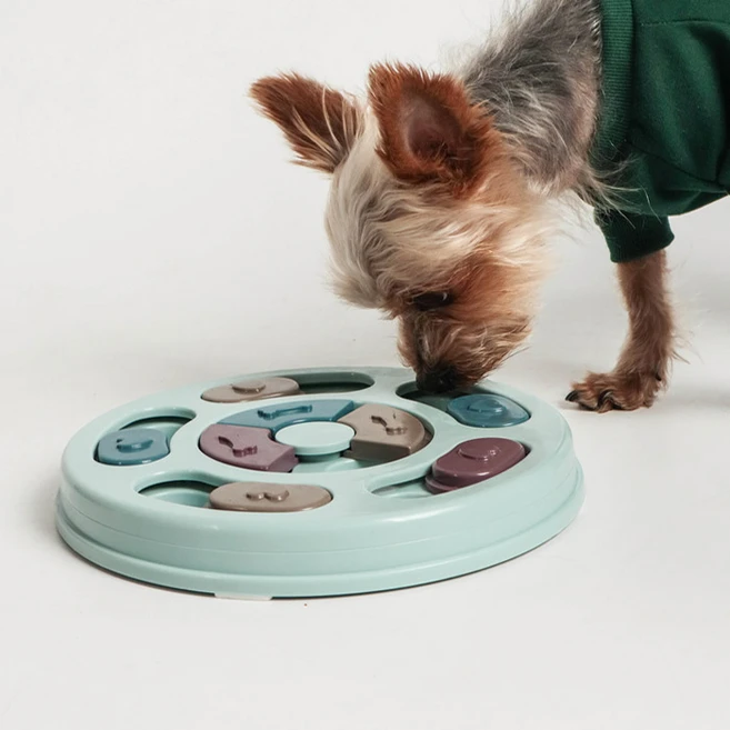 딩동펫 지능개발 퍼즐간식토이 장난감 라운드 지름 23cm x 높이 2.5cm, 블루, 1개 - 쿠팡