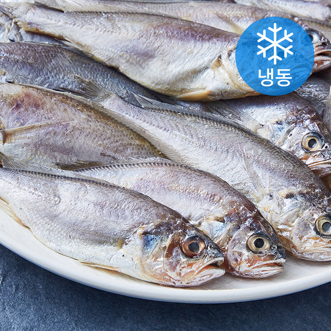 대용량 굴비, 1개, 1kg(20미)