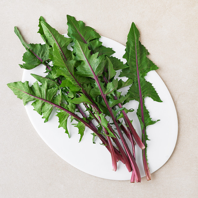 적치커리, 1개, 100g