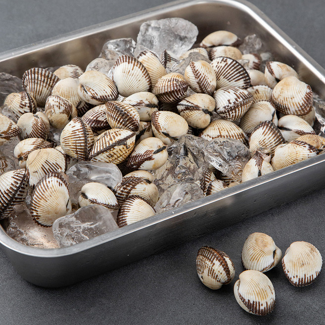 바다자리 국산 생물 새꼬막, 1kg, 1개