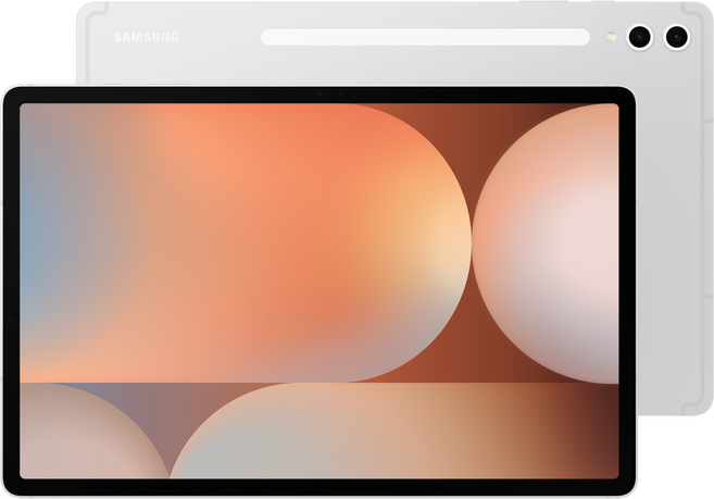 SAMSUNG 三星 Galaxy Tab S10 Ultra 平板 原廠保固, Wi-Fi, 256GB, 鉑金銀