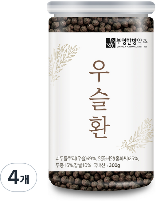 부영한방약초 우슬환, 300g, 4개