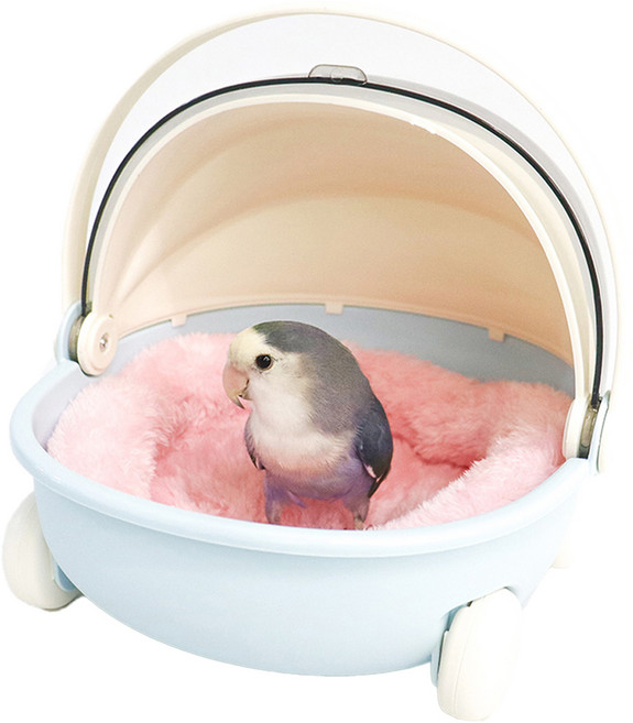 앵무새 유모차, 블루, 1개